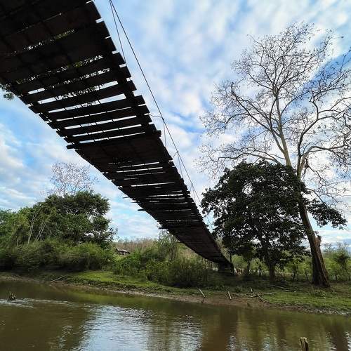 Photo #10909149