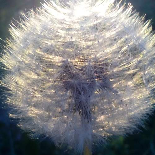 Photo #10909282