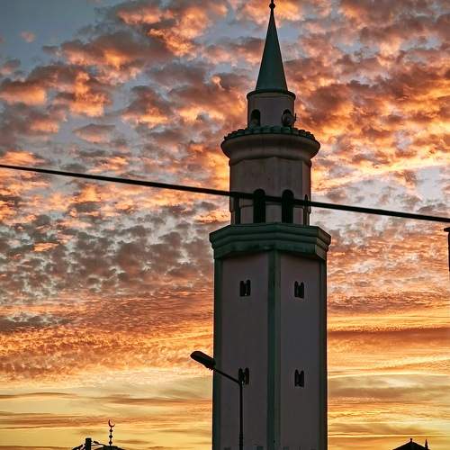 Photo #10909755