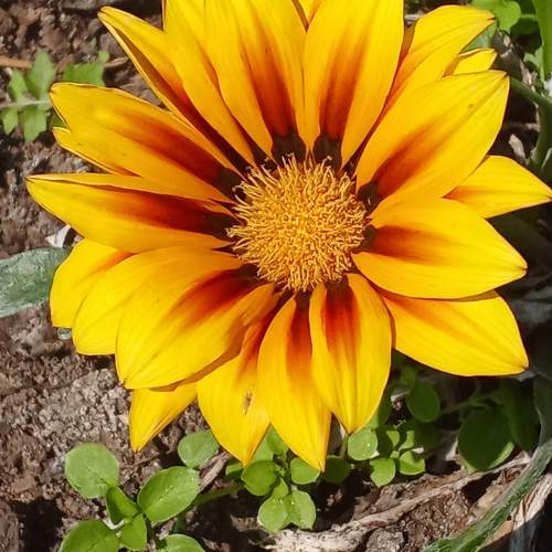 Photo #10909946