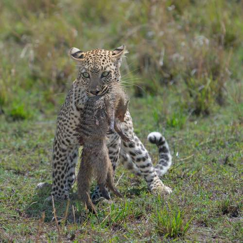 Photo #10910049