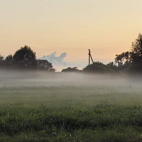 Photo #10910074