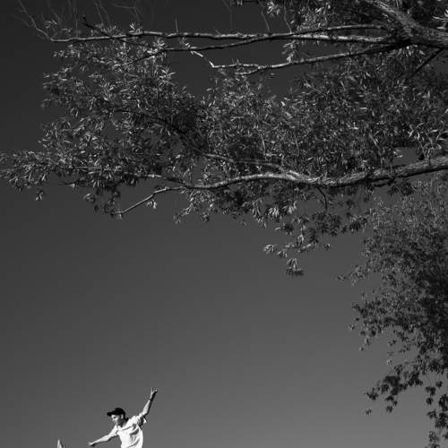 Photo #10910148