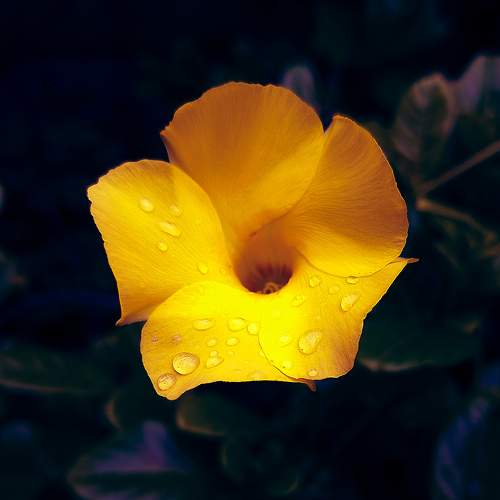 Photo #10910264