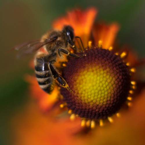 Photo #10910347