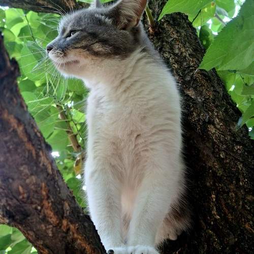 Photo #10910773