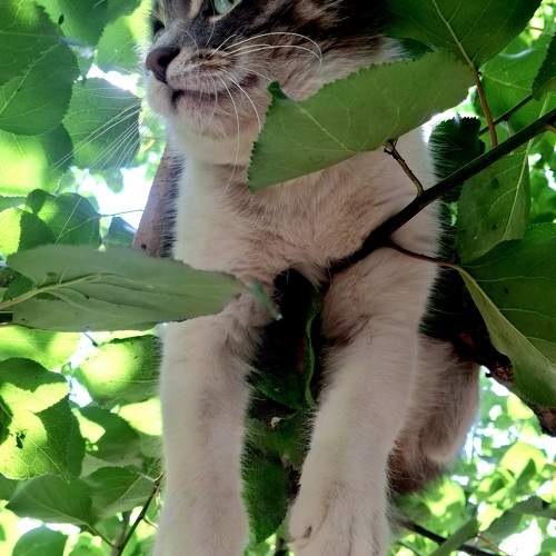 Photo #10910781