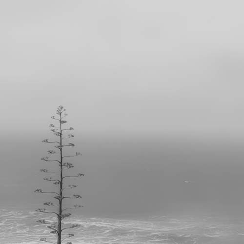 Photo #10911047