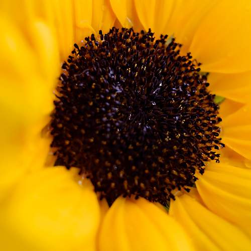 Photo #10911476