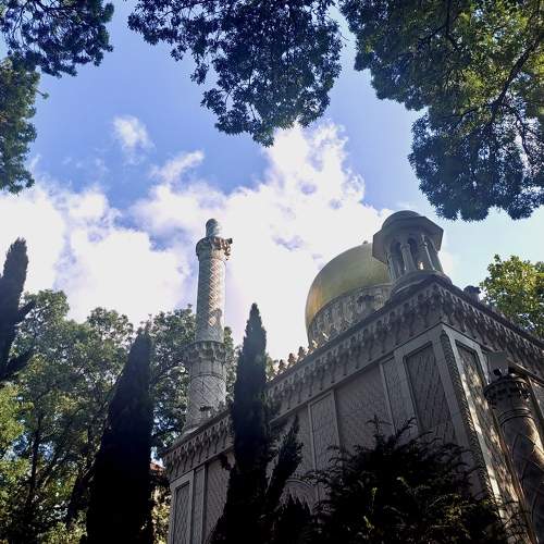 Photo #10911657
