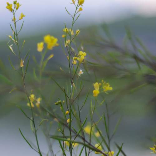 Photo #10911709