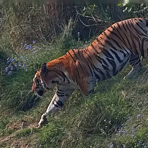 Photo #10912231