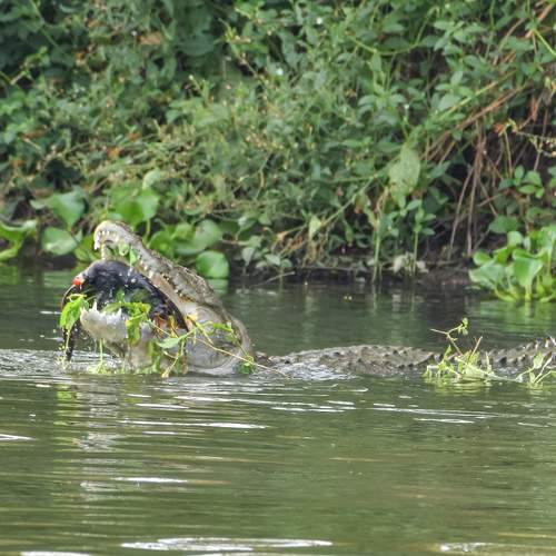 Фотография #10912374