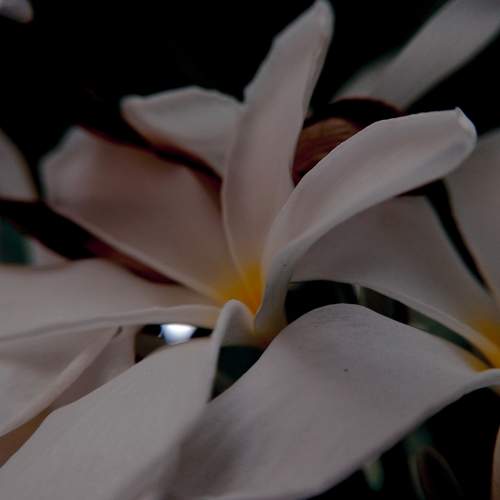 Photo #10912500