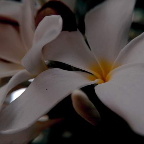Photo #10912503
