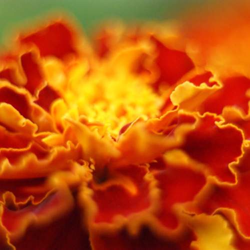 Photo #10912562