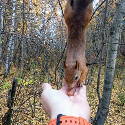 Photo #10912815