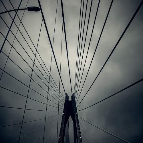 Photo #10912938