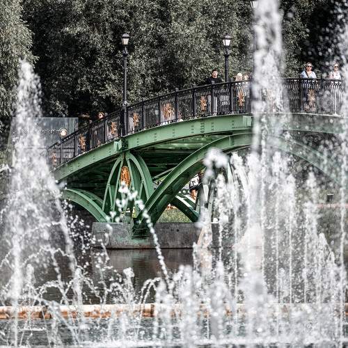 Photo #10913554