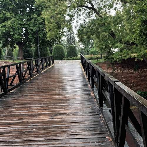 Photo #10914190