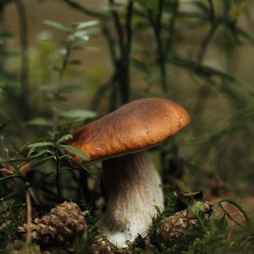 Photo #10914557