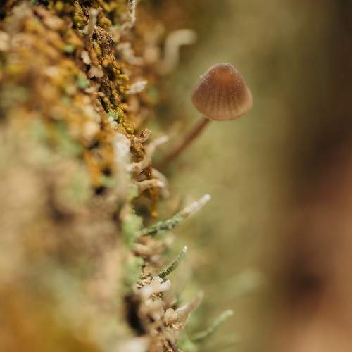 Photo #10914558