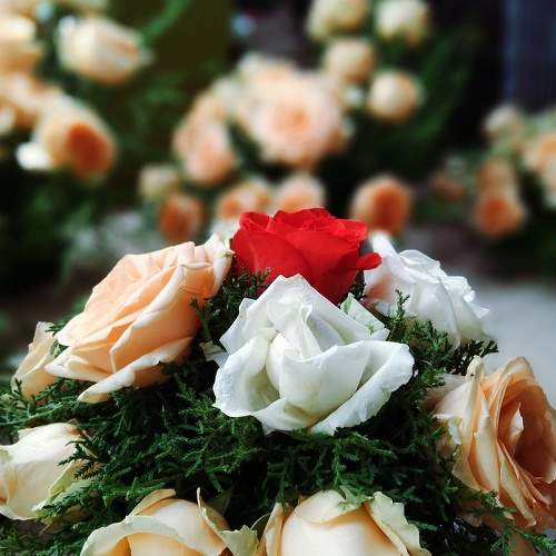 Photo #10914697