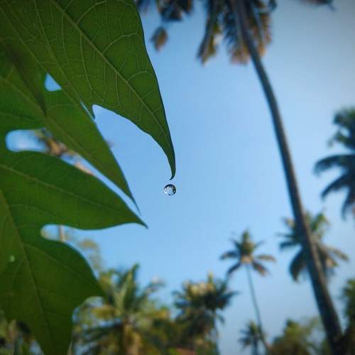 Photo #10914698