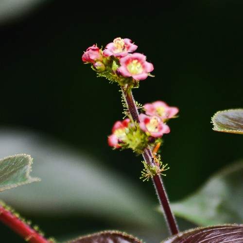 Photo #10914886