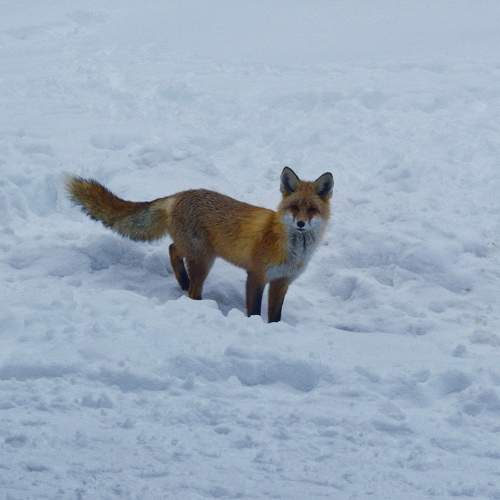 Photo #10914892