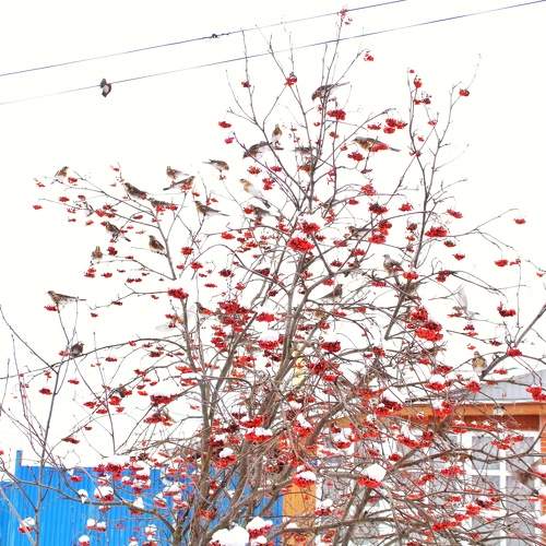 Photo #10914917
