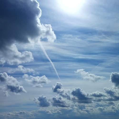 Photo #10915068
