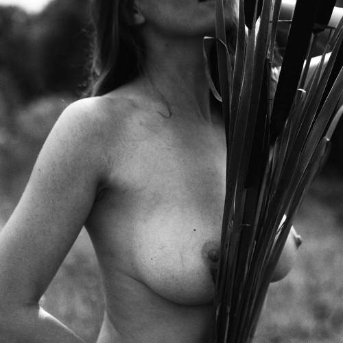 Фотография #10915176
