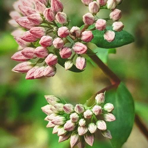 Photo #10915644