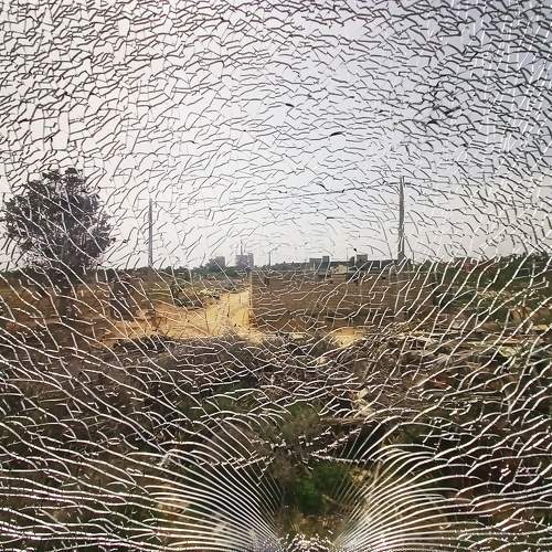 Photo #10915794