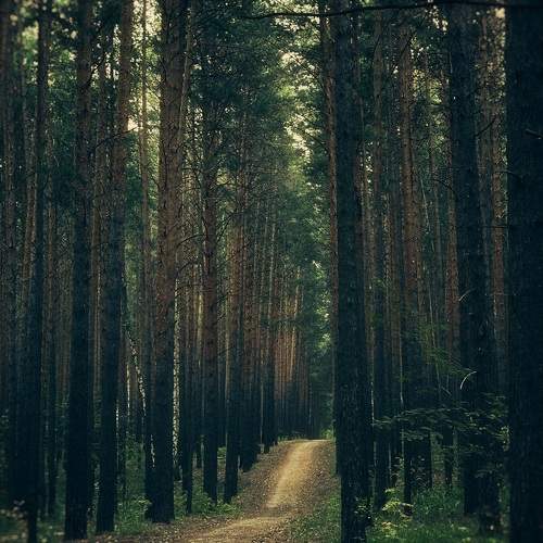 Photo #10916547