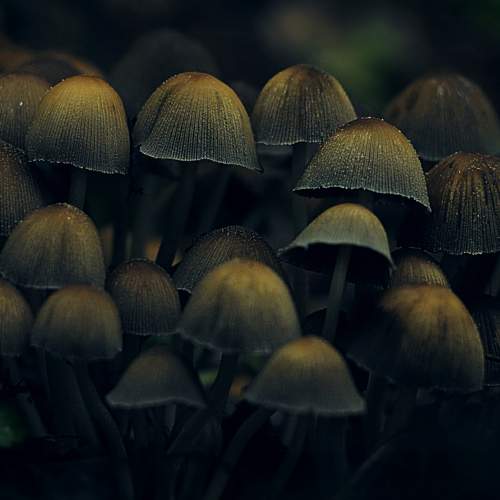 Photo #10916606