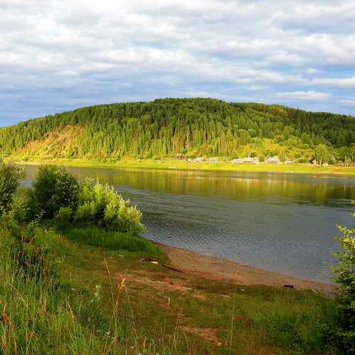Photo #10916937
