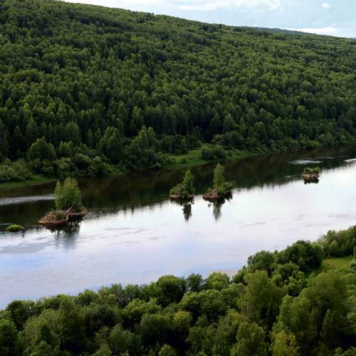 Photo #10916954