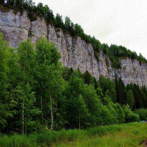 Photo #10916956