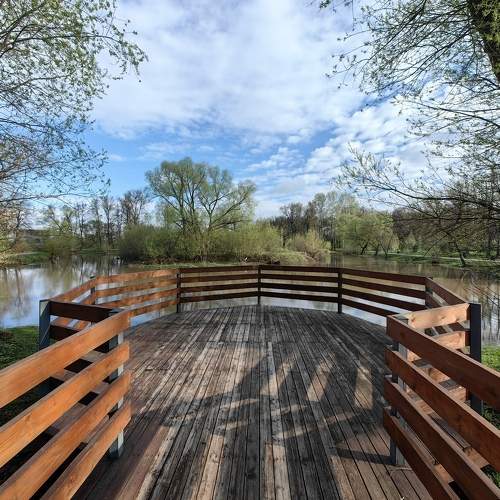 Photo #10917342