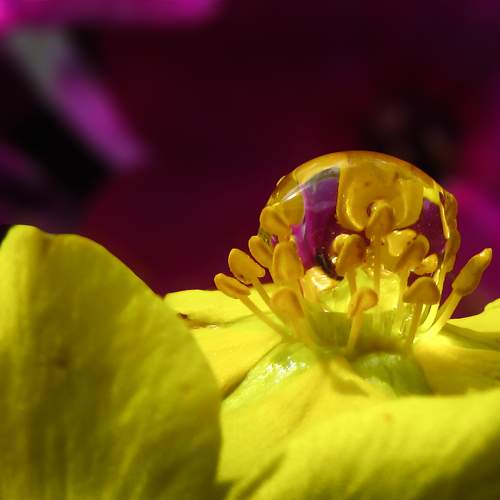 Photo #10917461