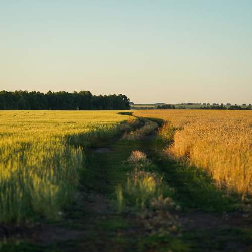 Photo #10917771