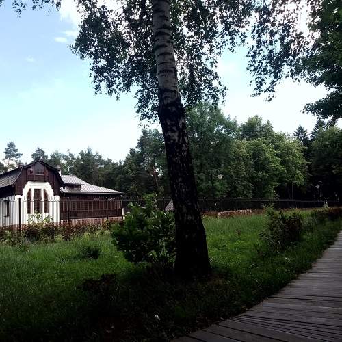 Photo #10917782