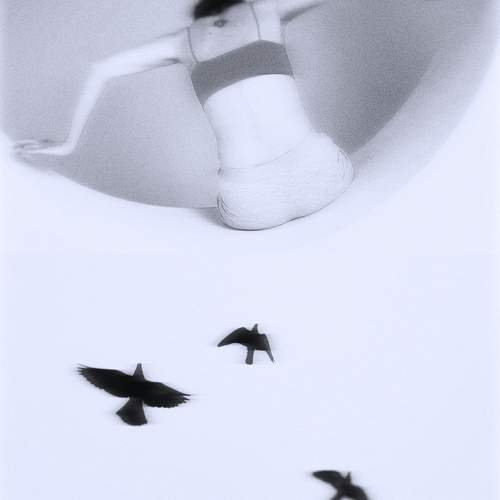 Photo #10917859