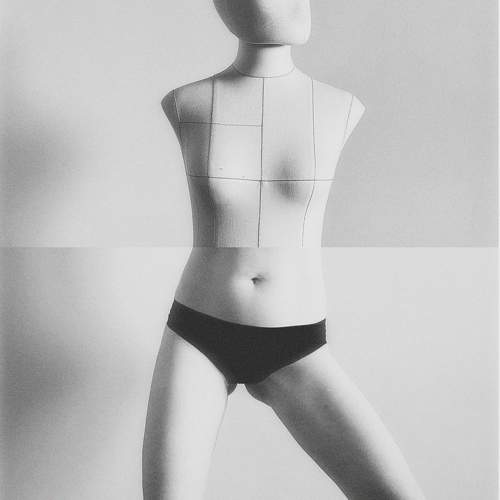 Photo #10917861