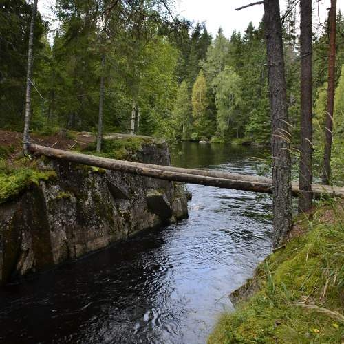 Photo #10918468