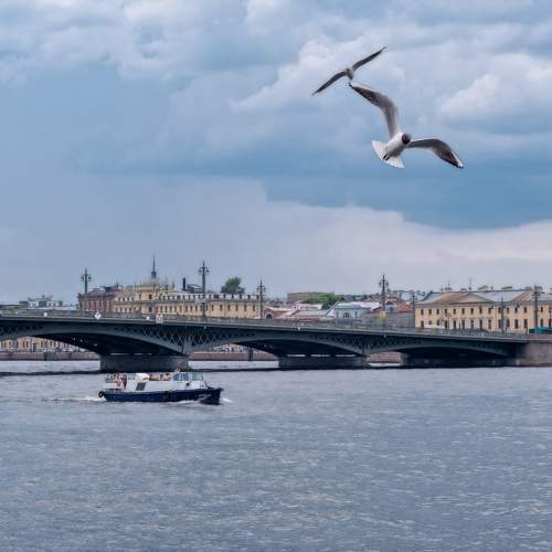 Photo #10918560