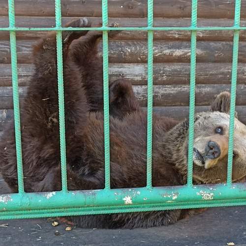 Photo #10918686