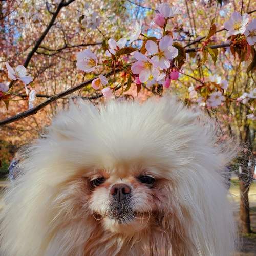 Photo #10919300